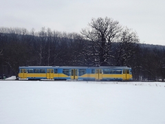 tw-505_marienglashoehle-alte-eiche_23-03-2013_c-hartung