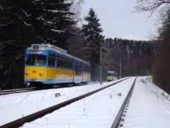 tw-505_reinhardsbrunner-teiche_23-03-2013_c-hartung