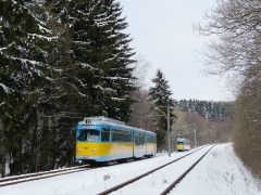 tw-505_tw-442_reinhardsbrunner-teiche_23-03-2013_c-r-quas