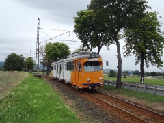 tw-522_km-11-leina_18-08-2013_c-hartung