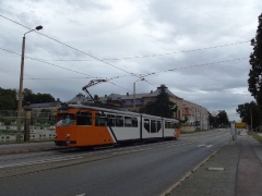 tw-522_orangerie_18-08-2013_c-hartung_1