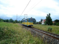 tw-528-wahlwinkel-wiese