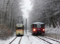 Tw 215 und EBS 772 345 zwischen Reinhardsbrunn und Schnepfenthal, 25.01.2014 (1), (C) Quaß