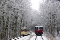 Tw 215 und EBS 772 345 zwischen Reinhardsbrunn und Schnepfenthal, 25.01.2014 (2), (C) Quaß