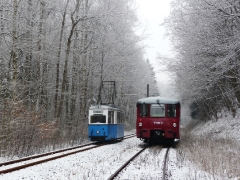 Tw 39 und EBS 772 345 zwischen Reinhardsbrunn und Schnepfenthal, 25.01.2014, (1), (C) Quaß