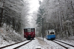 Tw 39 und EBS 772 345 zwischen Reinhardsbrunn und Schnepfenthal, 25.01.2014, (3), (C) Quaß