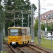 Steffen Natzschka