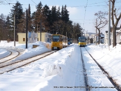 319-303-tabarz1-2010-02-16