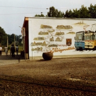 Haltetstelle 1989