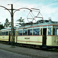 Tw 50
