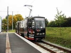 Tw 111 | 2013 | (c) Hartung