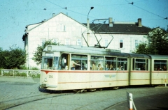 Tw 202 | 1978 | (c) Kalbe