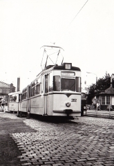 Tw 202 | 1979 | (c) Kalbe