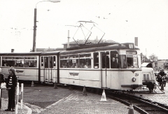 Tw 204 | 1979 | (c) Kalbe