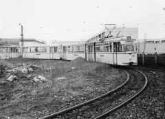 Tw 209 | 1980 | (c) Kalbe