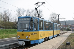 TW 302 | 2017 | (c) Kutting