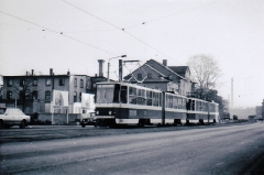 Tw 303 | 1982 | (c) Kalbe