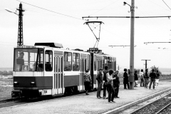 Tw 304 | 1984 | (c) Velthoen