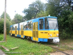 TW 305 | 2004 | (c) Kutting