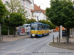 TW 305 | 2011 | (c) Natzschka