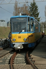 TW 305 | 2017 | (c) Kutting