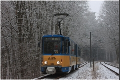 Tw 306 | 2014 | (c) Gießler