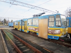 Tw 306 | 2017 | (c) Kutting