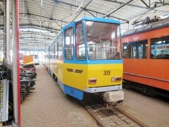 Tw 309 | 2017 | (c) Kutting