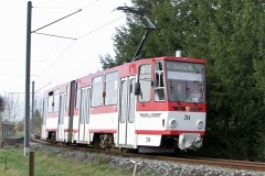 Tw 314 | 2017 | (c) Kutting