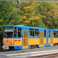 Tw 316