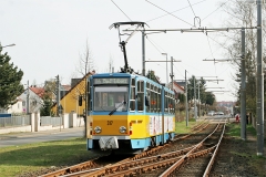 TW 317 | 2017 | (c) Kutting