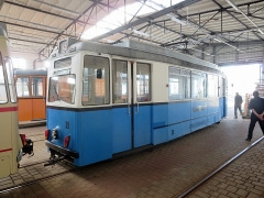 Tw 39 | 2017 | (c) Kutting