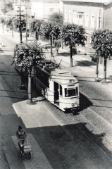 Tw 43 | 1964 | (c) Kalbe