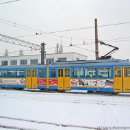 Tw 443
