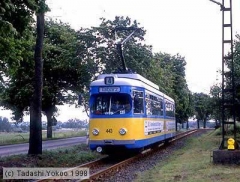 TW 443 | 1998 | (c) Yokoo