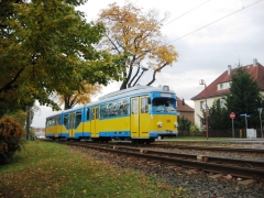 Tw 508 | 2013 | (c) Hartung