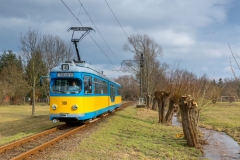 Tw 508 | 2017 | (c) Deterding