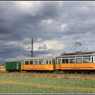 Tw 56 (Traditionszug)