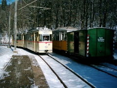Tw 215, Reinhardsbrunn Bf., 28.01.2006, (C) Schneider