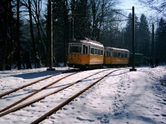 Historischer Zug 56-82-101, Reinhardsbrunn Bf., 28.01.2006, (C) Schneider