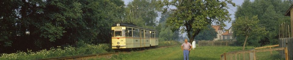 Jetzt-entschieden-Sekunden-über-das-Gelingen-des-Motivs-„Straßenbahn-mit-Gänsen“.-Gänse-sind-schlaue-Tiere-und-kennen-den-Weg-zum-Stall